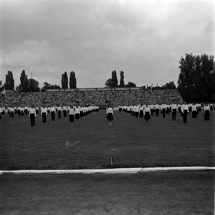 minerva_1986_c1_c7r5_019