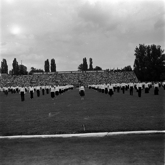 minerva_1986_c1_c7r5_020