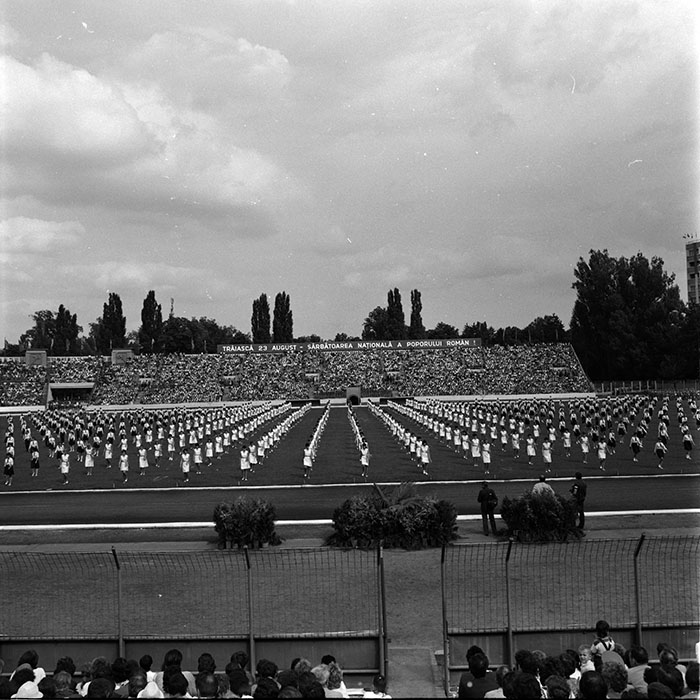 minerva_1986_c1_c7r5_024