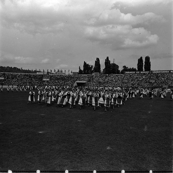 minerva_1986_c1_c7r5_041