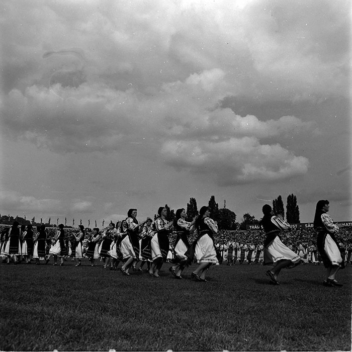 minerva_1986_c1_c7r5_042