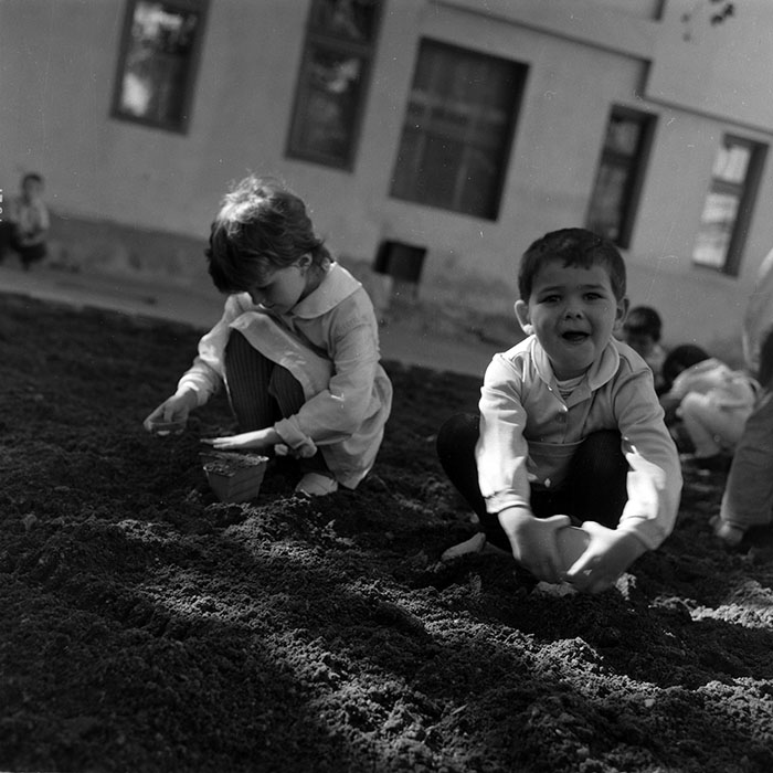 minerva_1986_c1_c8r1_009