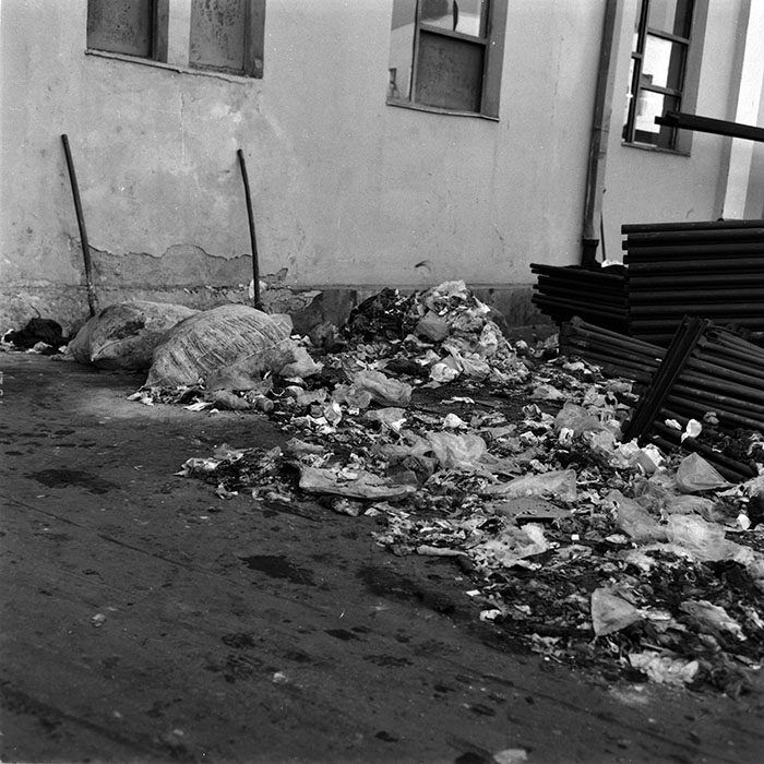 minerva_1986_c1_c8r1_011