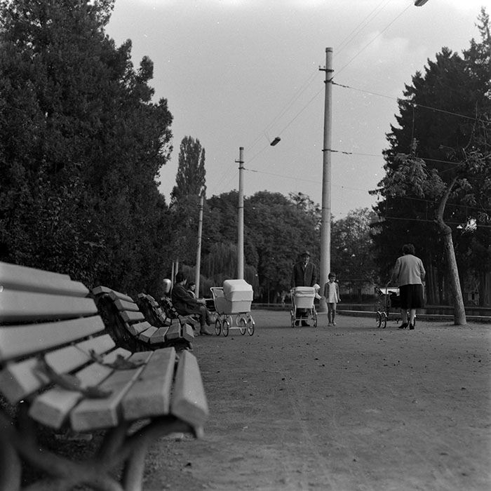 minerva_1986_c1_c8r5_001