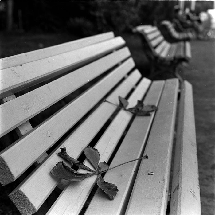 minerva_1986_c1_c8r5_002