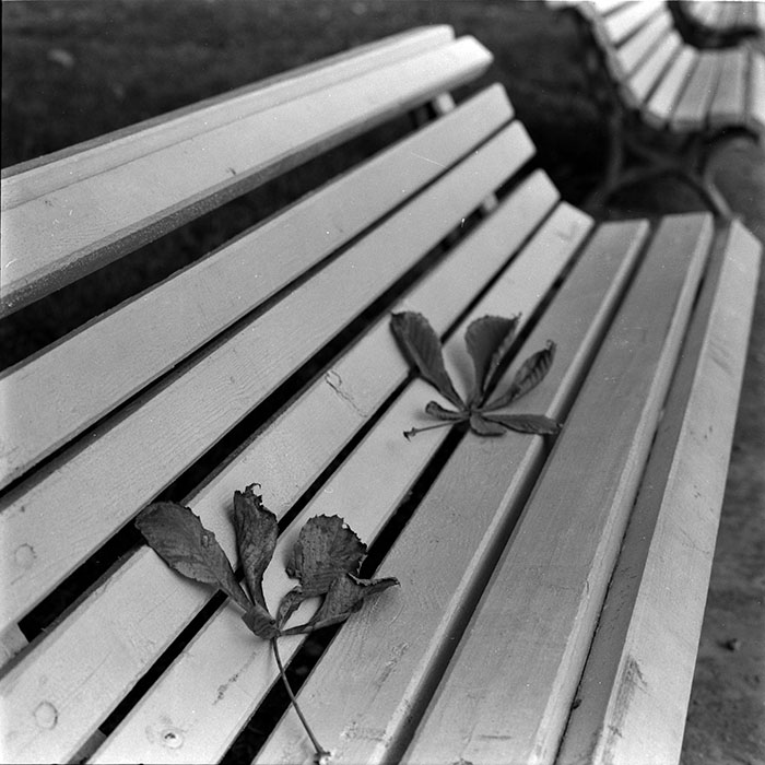 minerva_1986_c1_c8r5_003