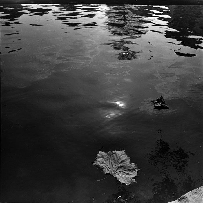 minerva_1986_c1_c8r5_007