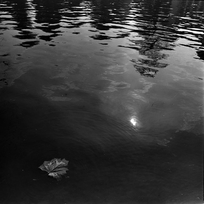 minerva_1986_c1_c8r5_009