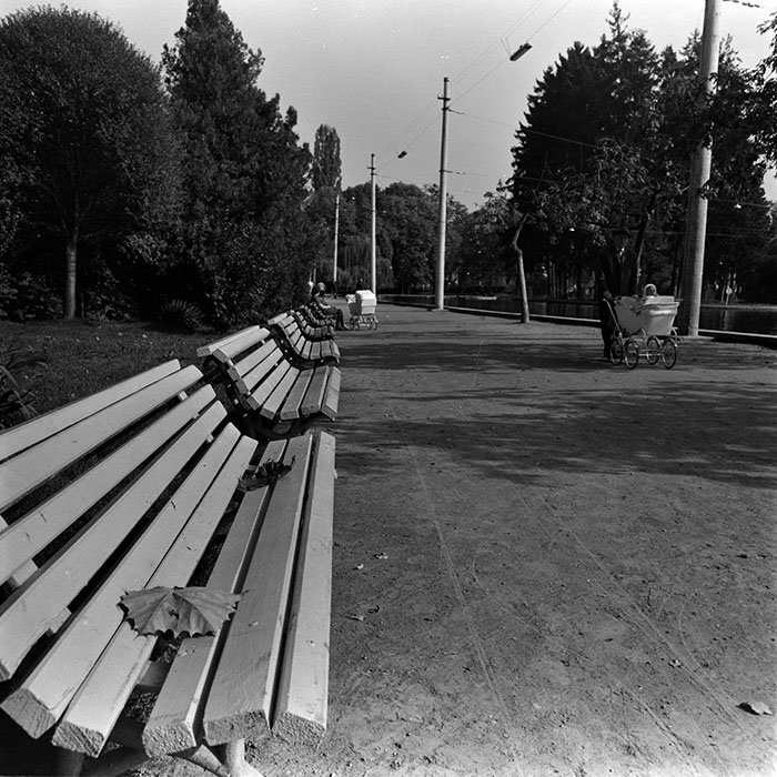 minerva_1986_c1_c8r5_010