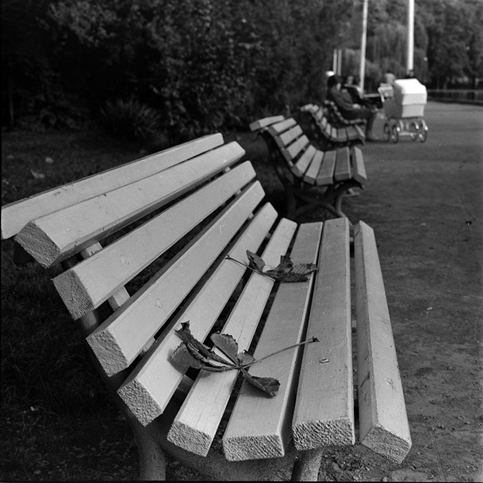 minerva_1986_c1_c8r5_013