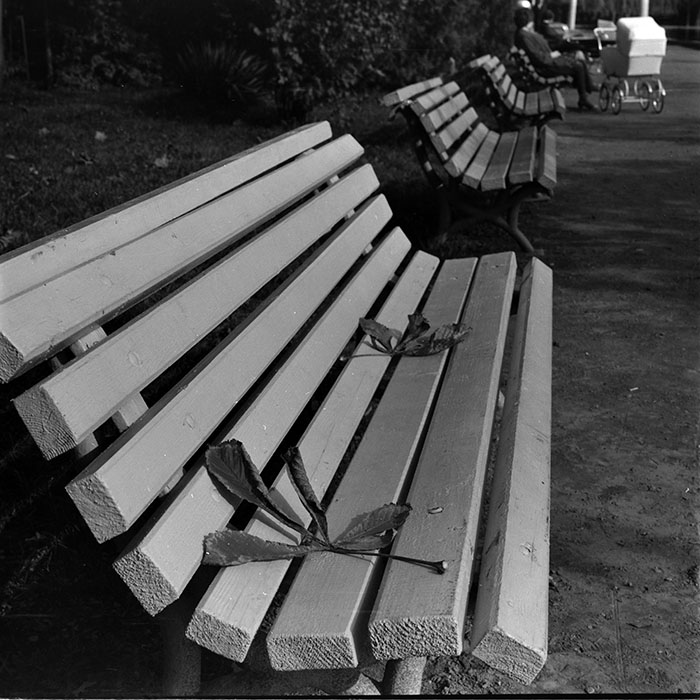 minerva_1986_c1_c8r5_014