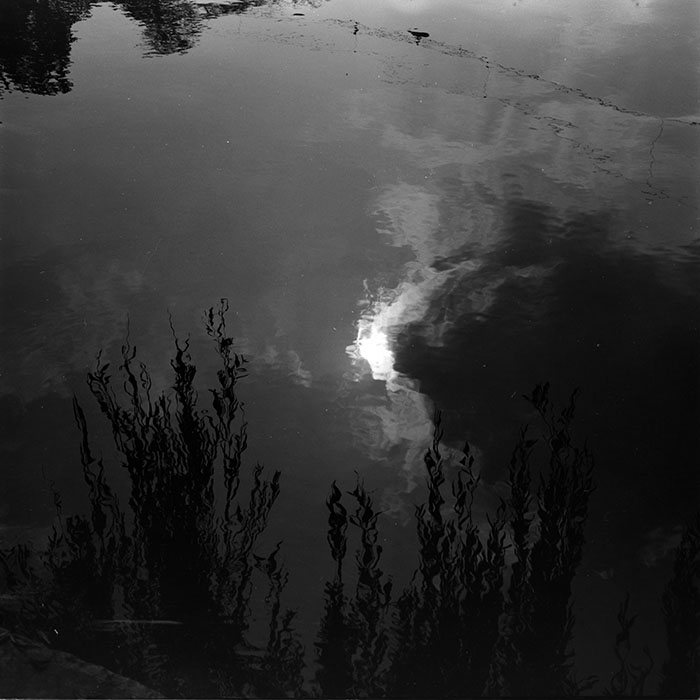 minerva_1986_c1_c8r5_015