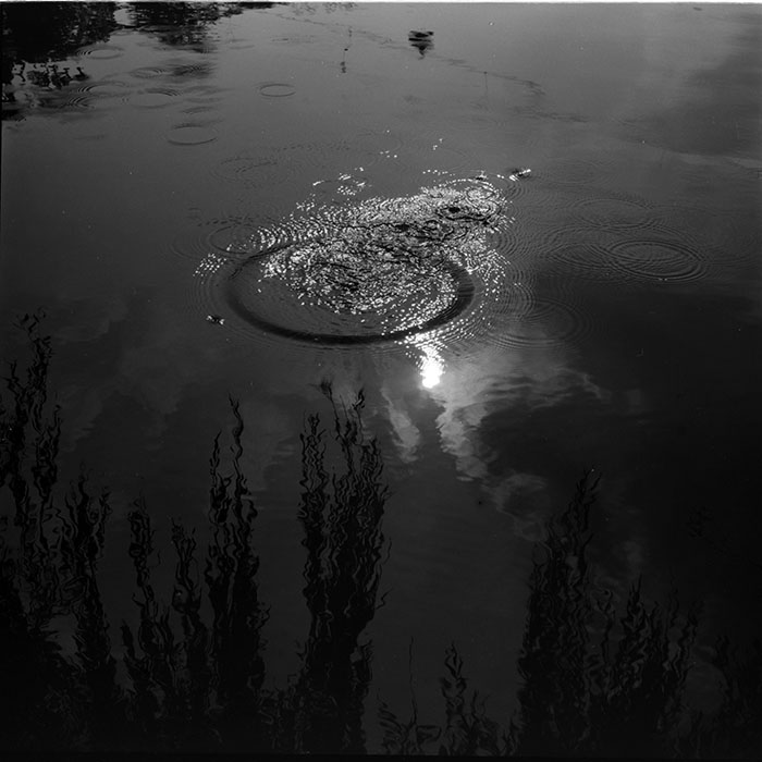 minerva_1986_c1_c8r5_018