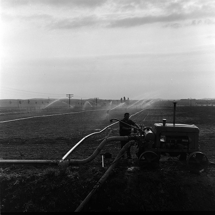 minerva_1986_c1_c8r5_019