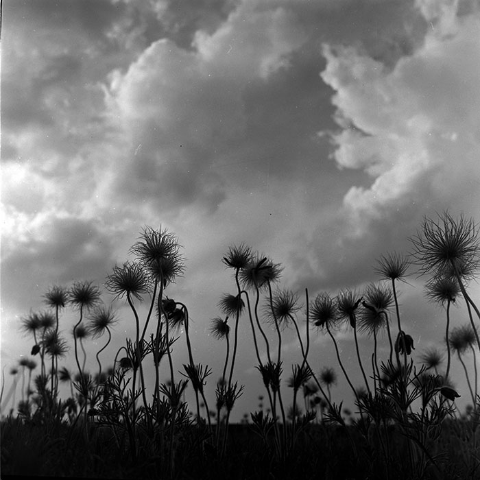 minerva_1986_c1_c8r5_020