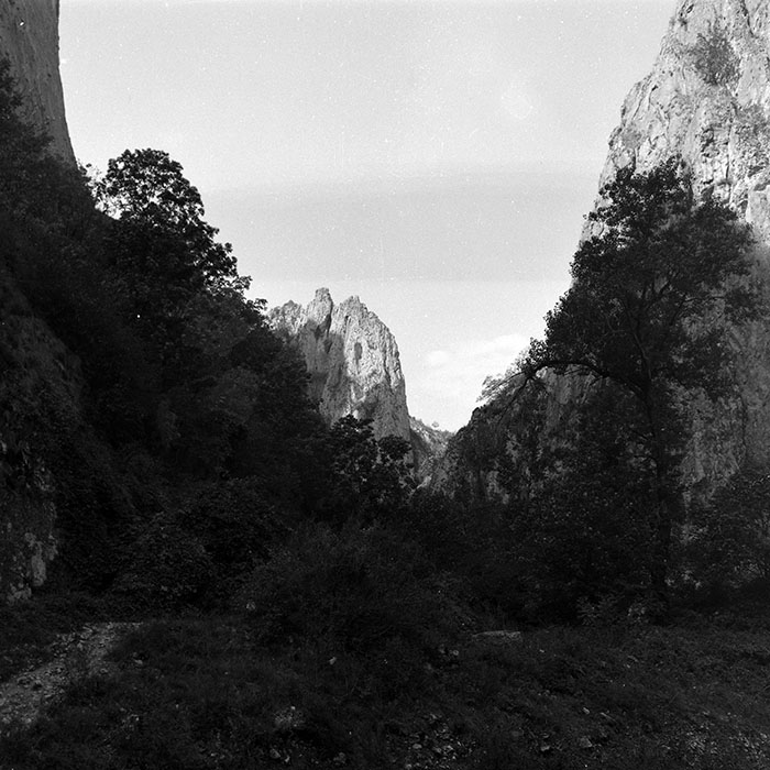 minerva_1986_c1_c9r3_001