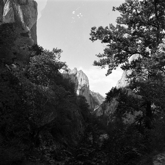 minerva_1986_c1_c9r3_003