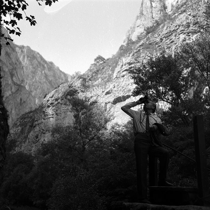 minerva_1986_c1_c9r3_007