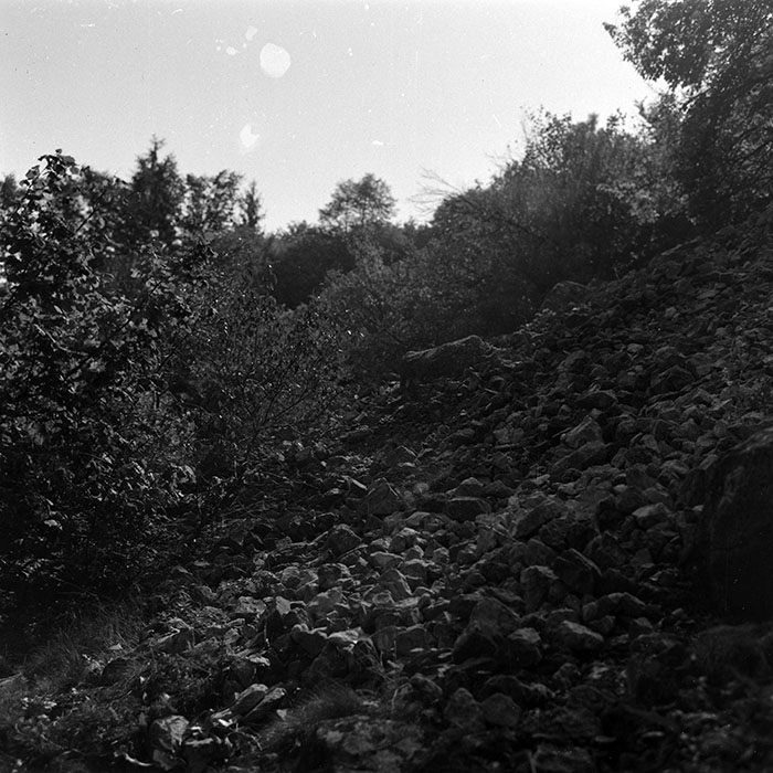 minerva_1986_c1_c9r3_008