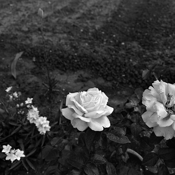 minerva_1986_c1_c9r4_007