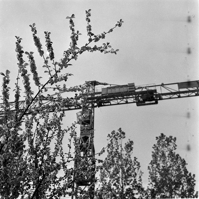 minerva_1986_c2_c10r2_008