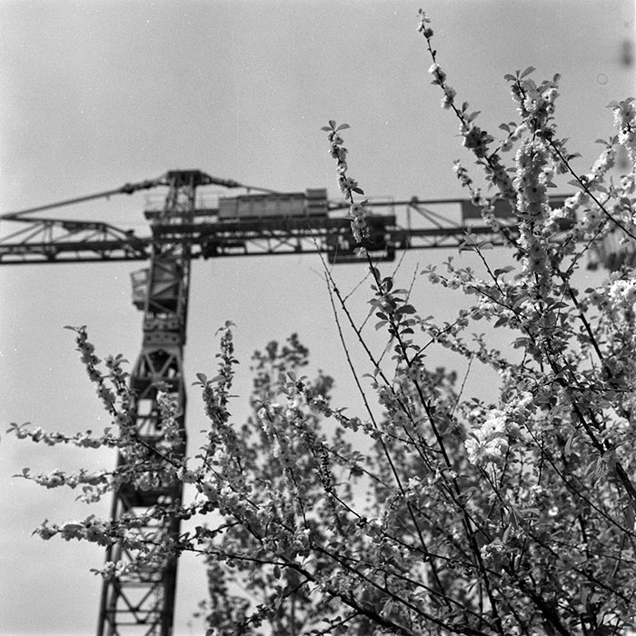 minerva_1986_c2_c10r2_010