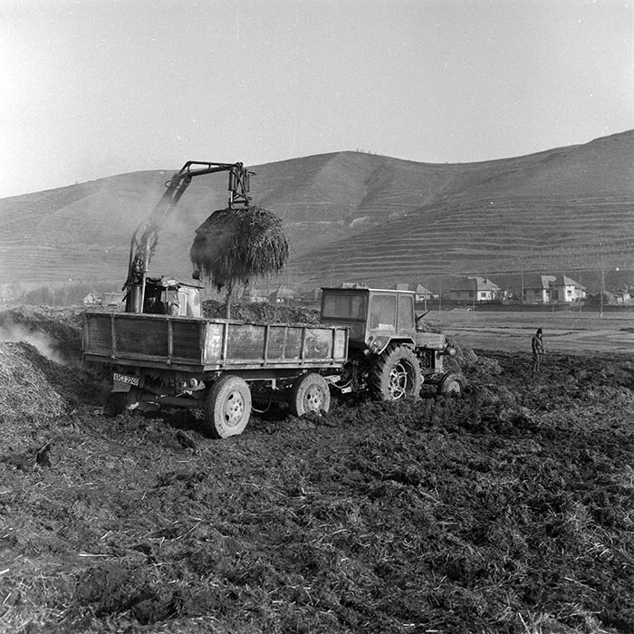 minerva_1986_c2_c10r5_001