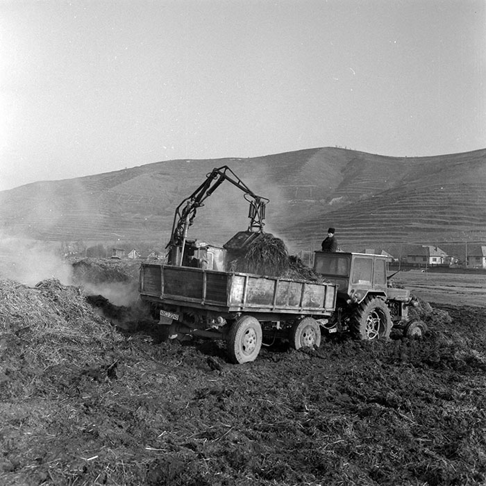 minerva_1986_c2_c10r5_002