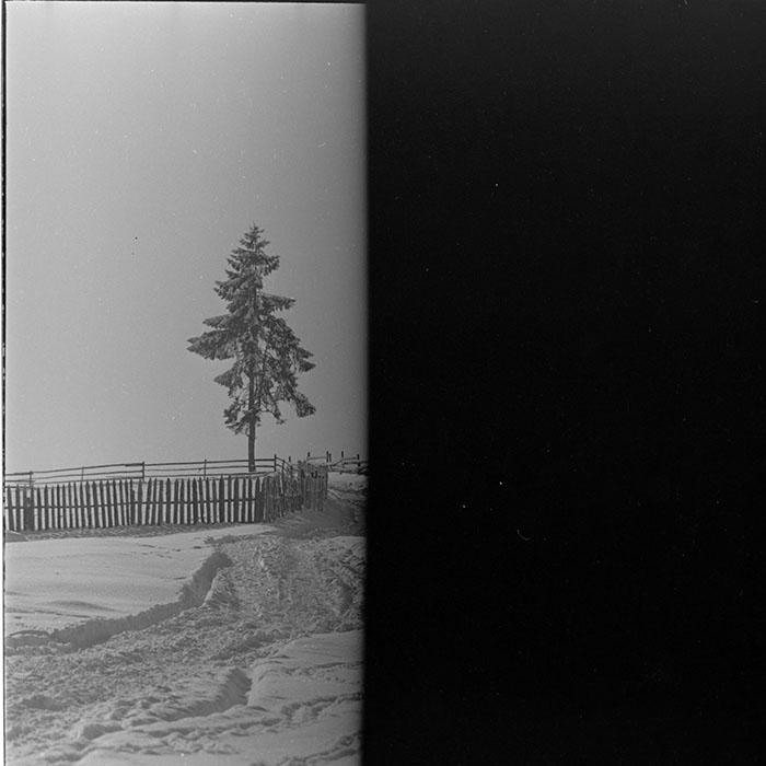 minerva_1986_c2_c1r3_008