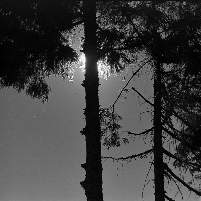 minerva_1986_c2_c1r4_009