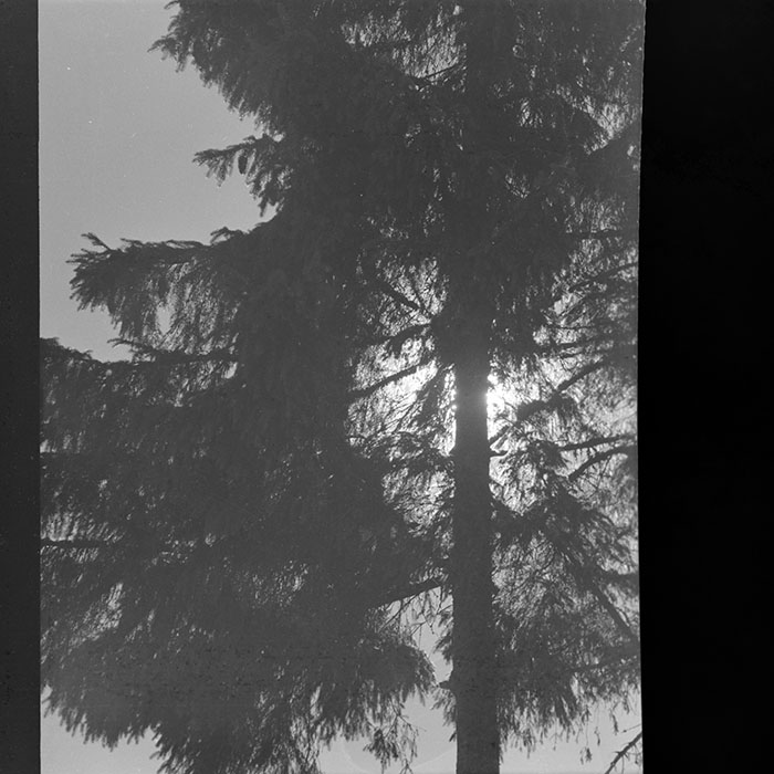 minerva_1986_c2_c1r4_010