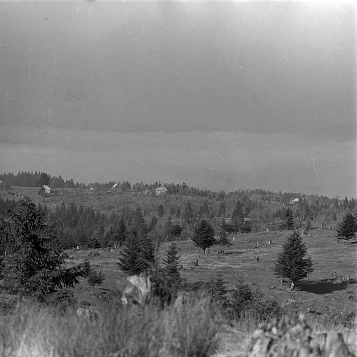 minerva_1986_c2_c1r4_012