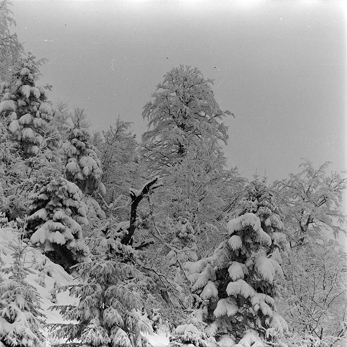 minerva_1986_c2_c1r4_031