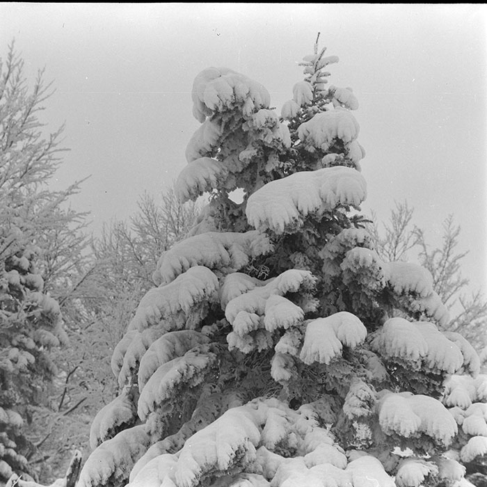 minerva_1986_c2_c1r4_032