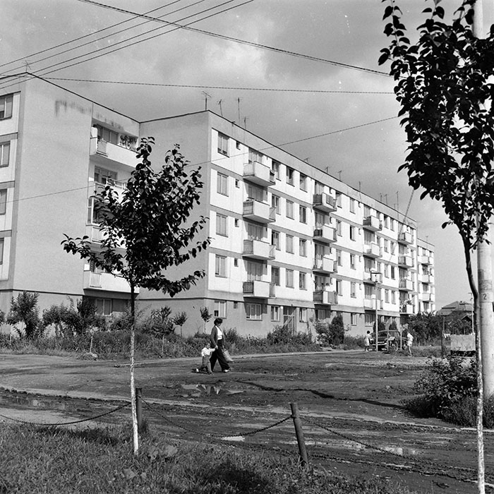 minerva_1986_c2_c2r1_001