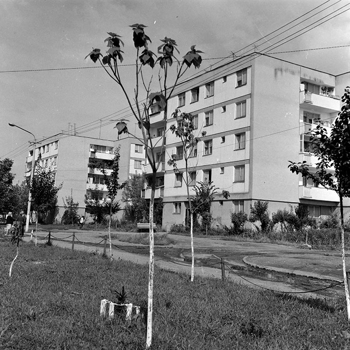 minerva_1986_c2_c2r1_002