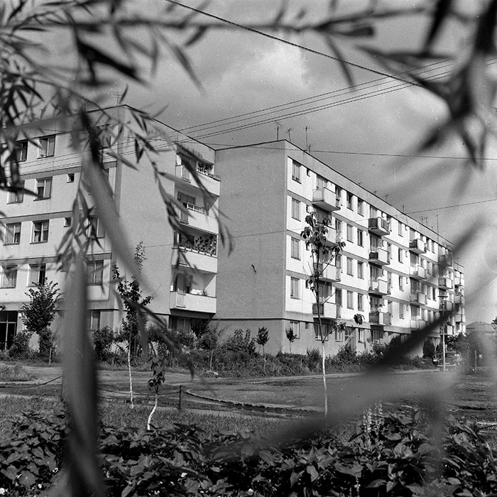 minerva_1986_c2_c2r1_003