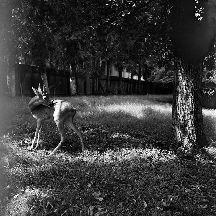 minerva_1986_c2_c2r1_012