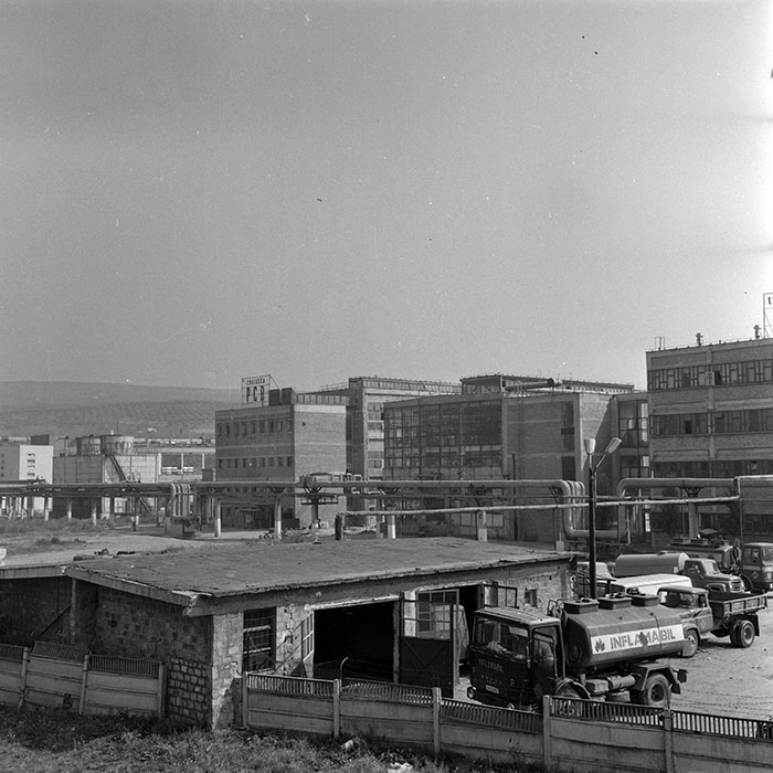 minerva_1986_c2_c2r2_011