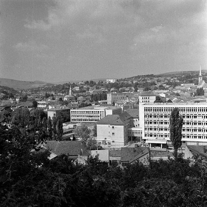 minerva_1986_c2_c2r3_009