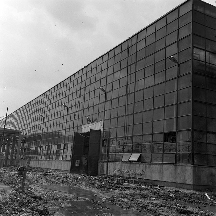 minerva_1986_c2_c2r4_018