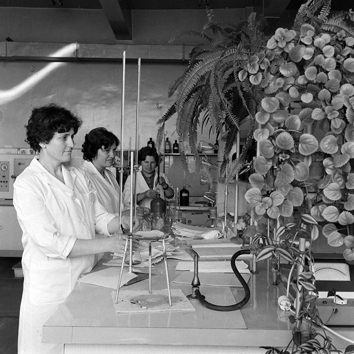 minerva_1986_c2_c2r5_005