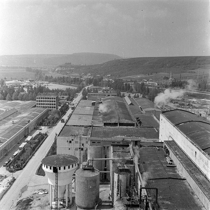 minerva_1986_c2_c2r5_017