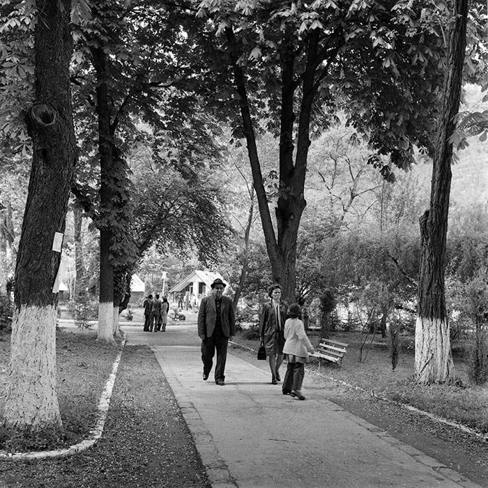 minerva_1986_c2_c2r5_020