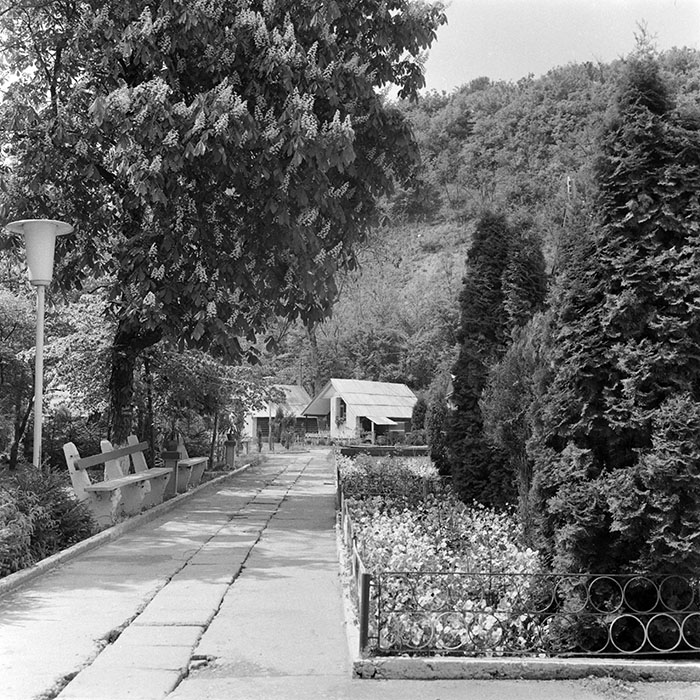 minerva_1986_c2_c2r5_022