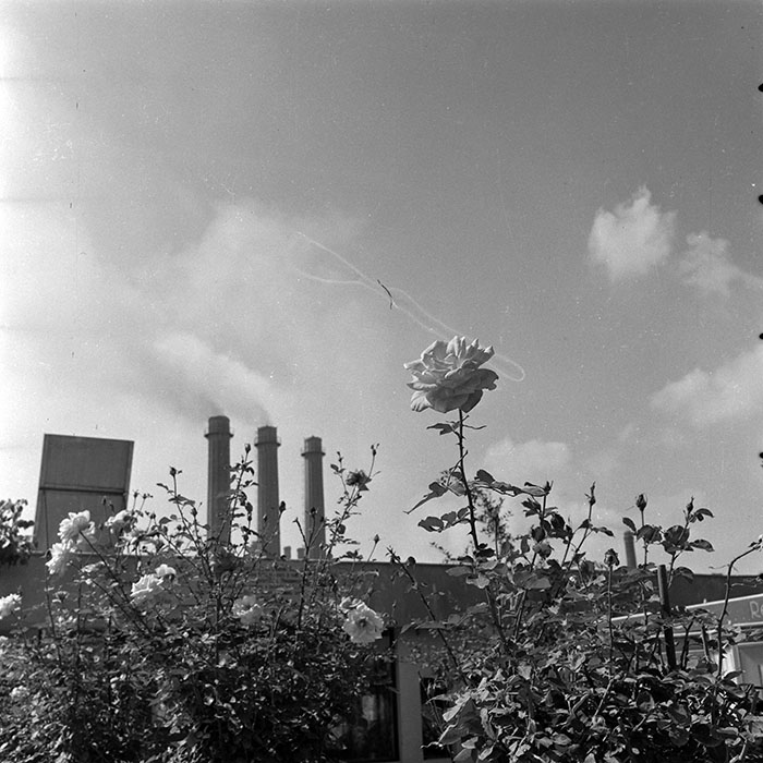 minerva_1986_c2_c3r2_016