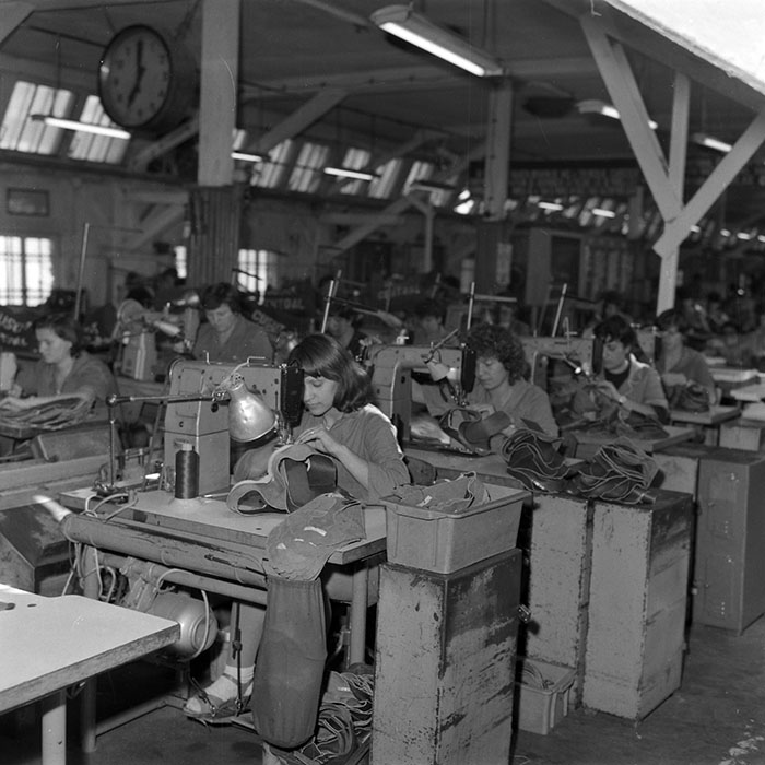 minerva_1986_c2_c4r3_011