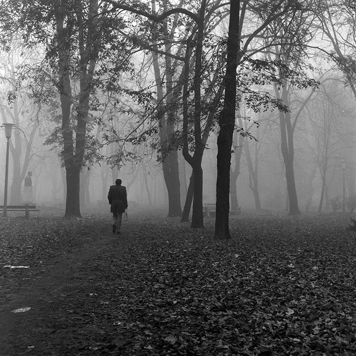 minerva_1986_c2_c5r1_001