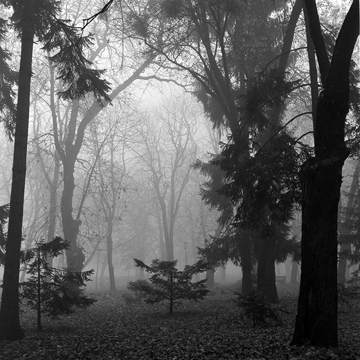 minerva_1986_c2_c5r1_002