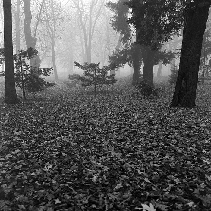 minerva_1986_c2_c5r1_003